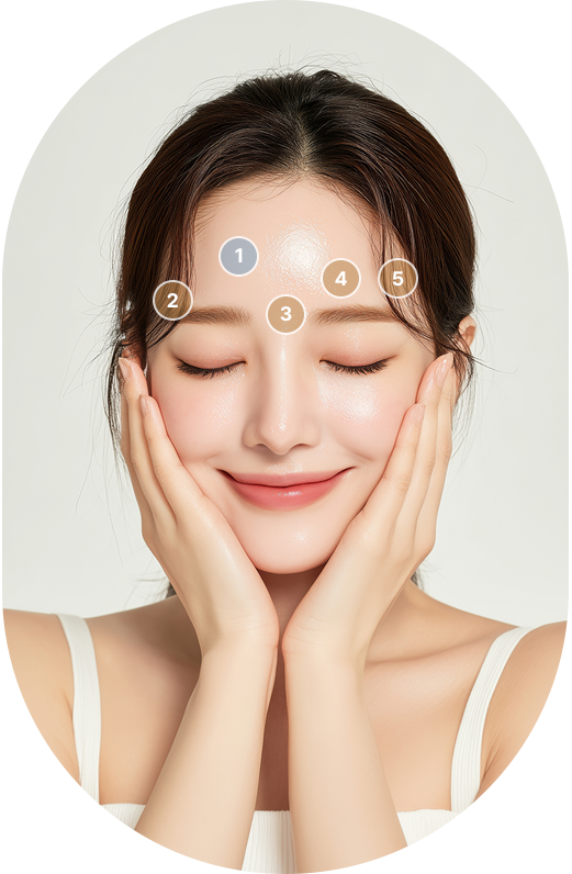 Eyebrow Muscles Diagram